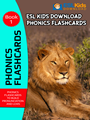 phonics-flashcards-ebook-1