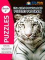 puzzles-ebook-2