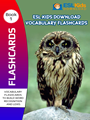 flashcards-ebook-1