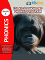 phonics-ebook-4